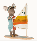 Surfer Beach Mice